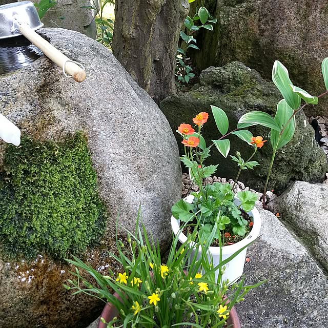 onmenさんの実例写真
