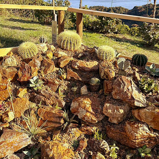 bonjiri0824さんの実例写真