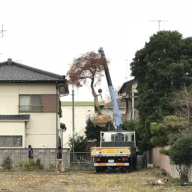 hanautatomochanさんの実例写真