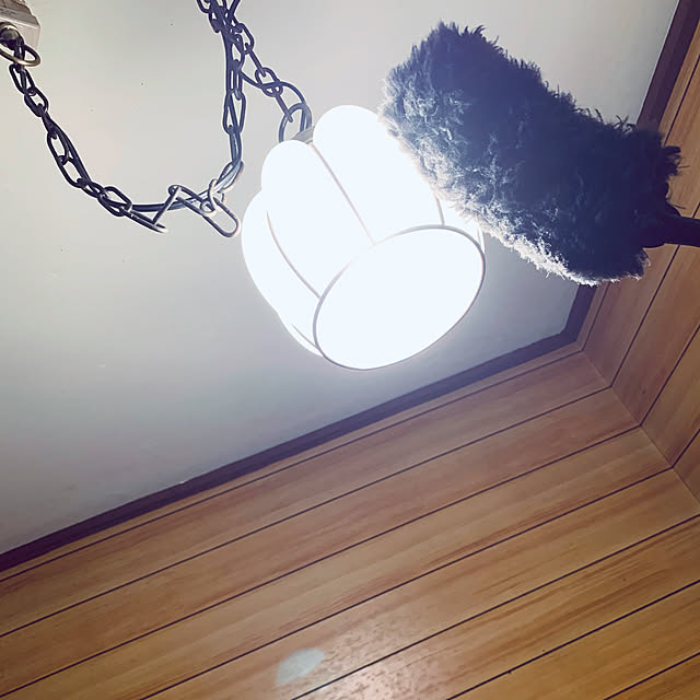 ayuminさんの実例写真