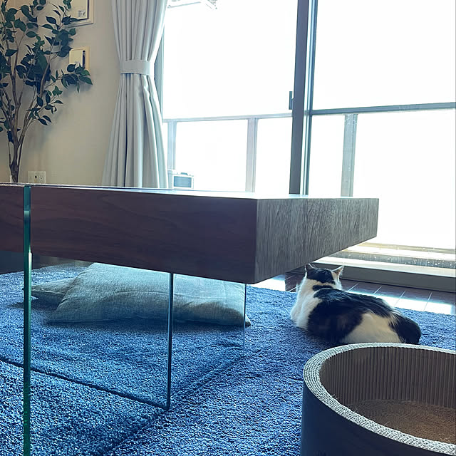 arさんの実例写真
