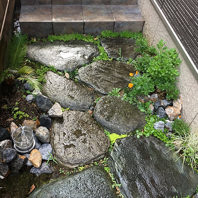 kokepapaさんの実例写真