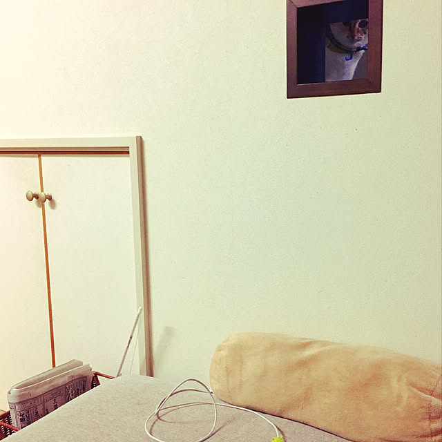 nanaさんの実例写真