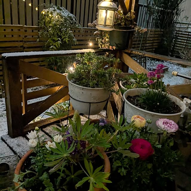 mofukoさんの部屋