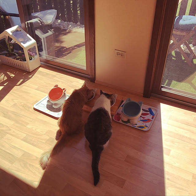Keiさんの実例写真