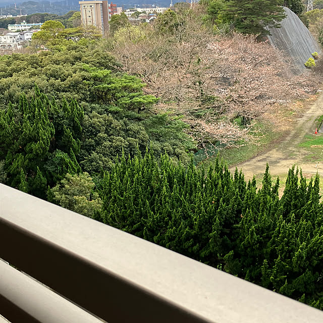 koshiregutyoさんの部屋