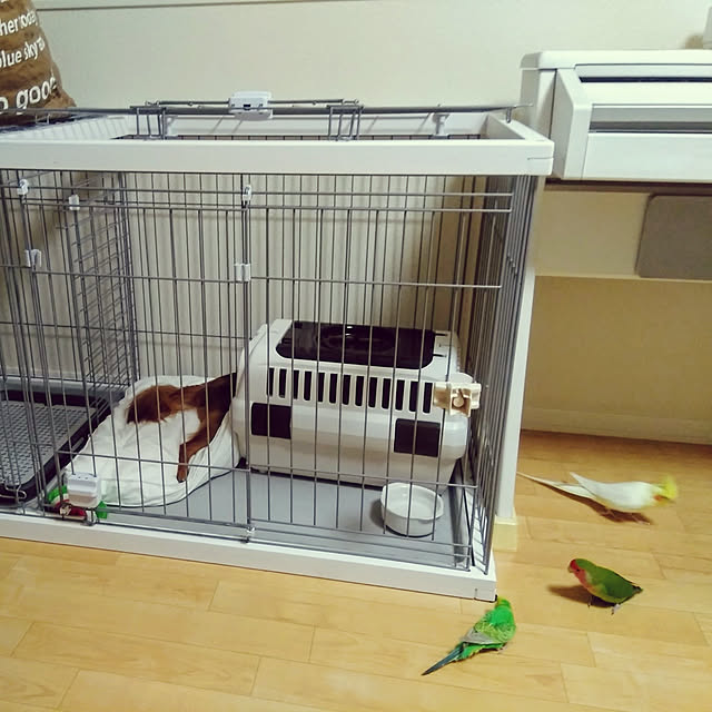 toratanさんの実例写真