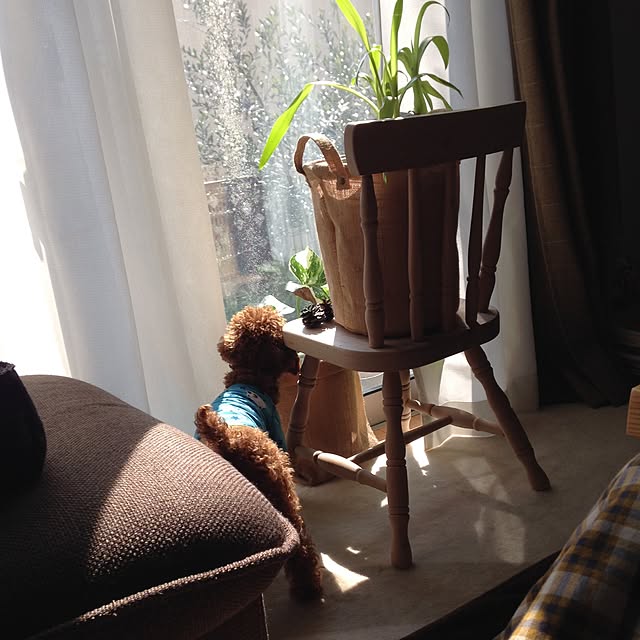 e-mo2さんの実例写真