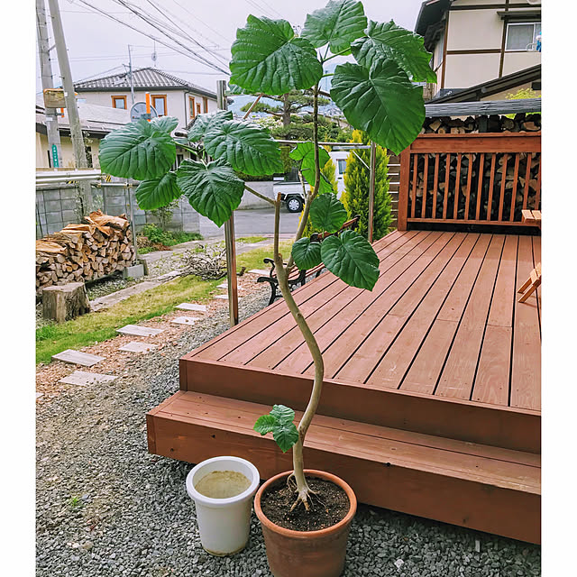 na-sanさんの実例写真