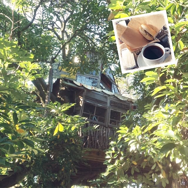 kohakuruさんの実例写真