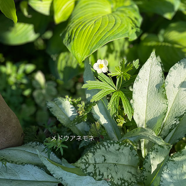 buchiさんの部屋