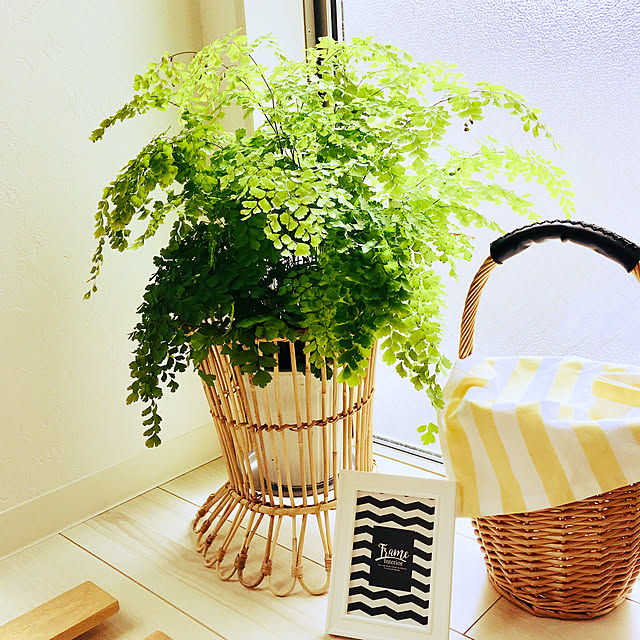 KURUMIさんの実例写真