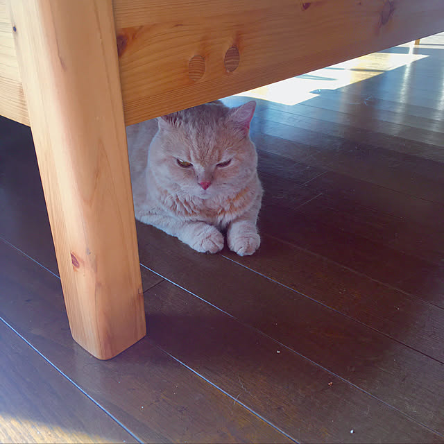 naokoさんの実例写真