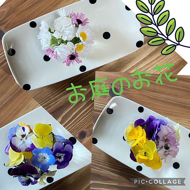 花のある暮らし♡/春が来た/ビオラ/花のある暮らしを楽しむ/花のある暮らし...などのインテリア実例 - 2022-03-24 15:28:15