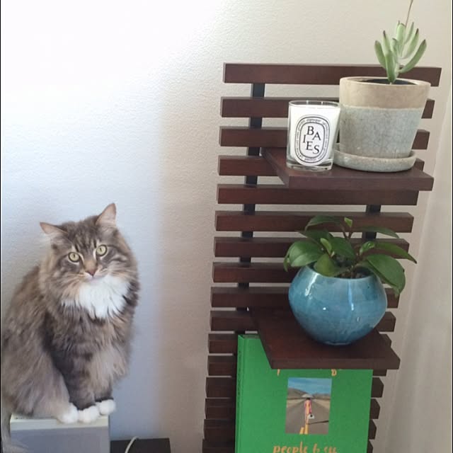 Amyさんの実例写真