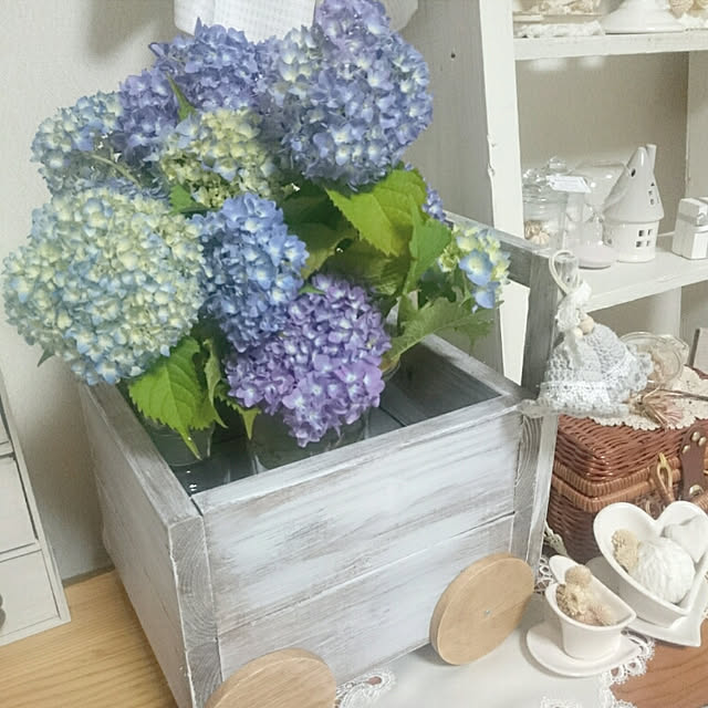 miho.okuさんの実例写真
