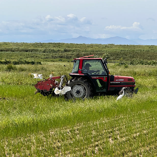 mizucchiさんの部屋