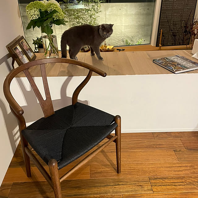ねこ yチェアのおすすめ商品とおしゃれな実例 | RoomClip ねこ yチェアのおすすめ商品とおしゃれな実例 | RoomClip