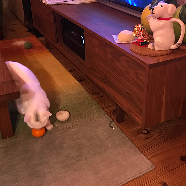 sakurasakuさんの実例写真