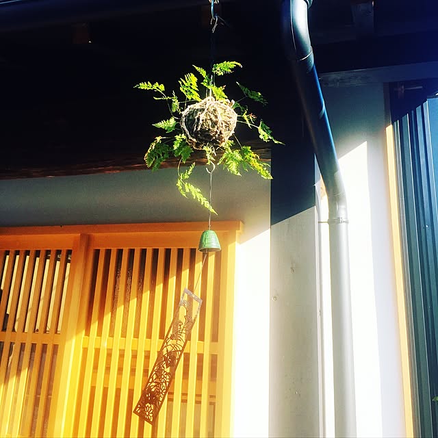 kumiさんの実例写真