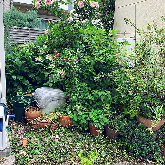 Rinkitさんの実例写真