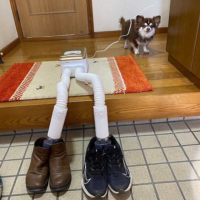 chIoeさんの実例写真