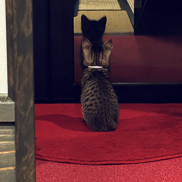 kanaさんの実例写真