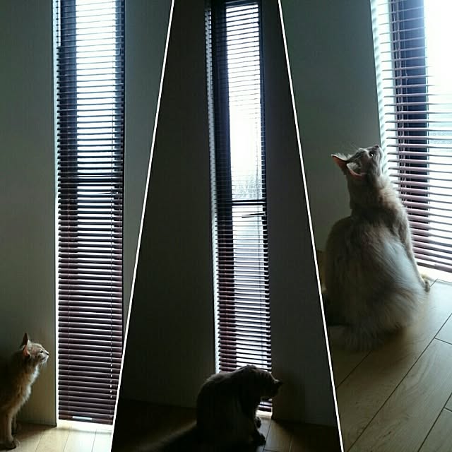 1ldksさんの実例写真