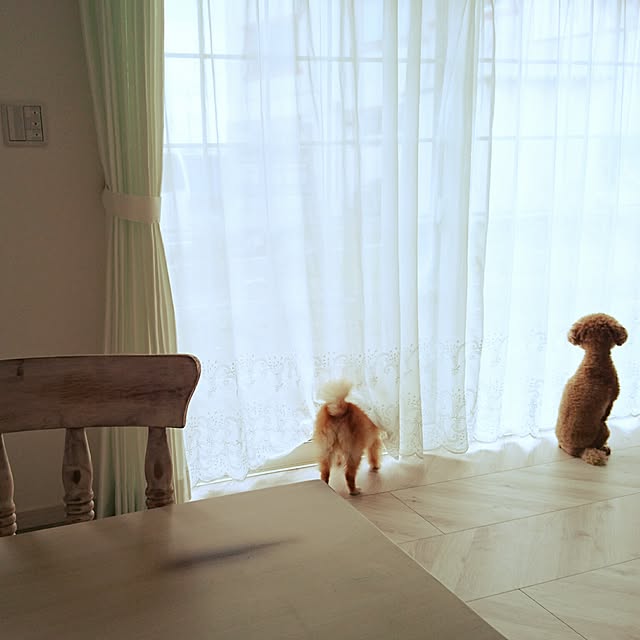 misoshiru-gohanさんの実例写真