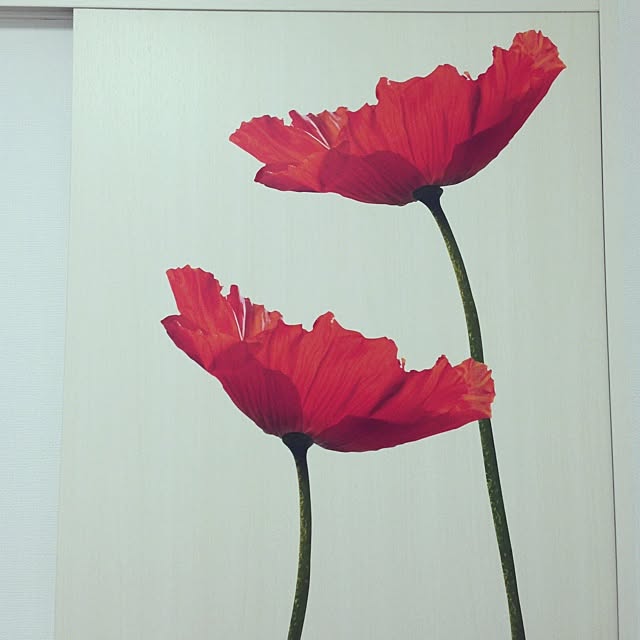 colline.0310さんの実例写真