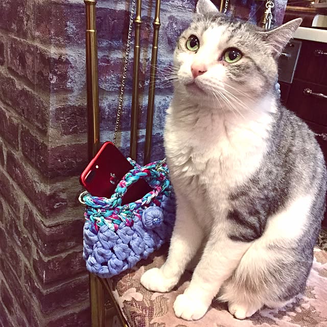 emmyyさんの実例写真