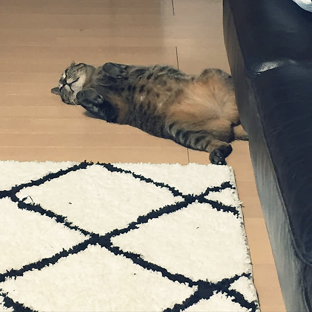 yukoさんの実例写真