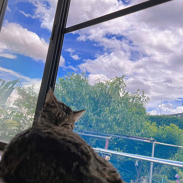 mohhaさんの実例写真