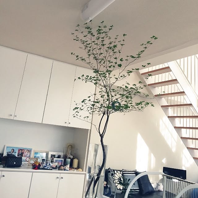 Yunaさんの実例写真