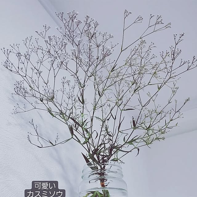 nonchanさんの実例写真