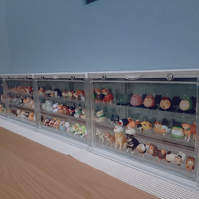 sakuraさんの部屋