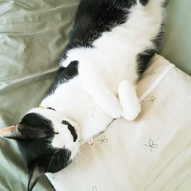 oliveさんの実例写真