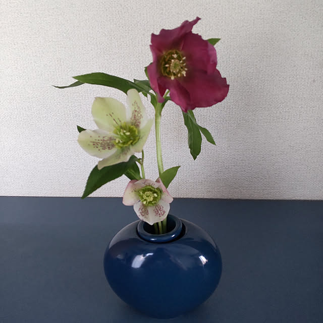 ampinさんの実例写真