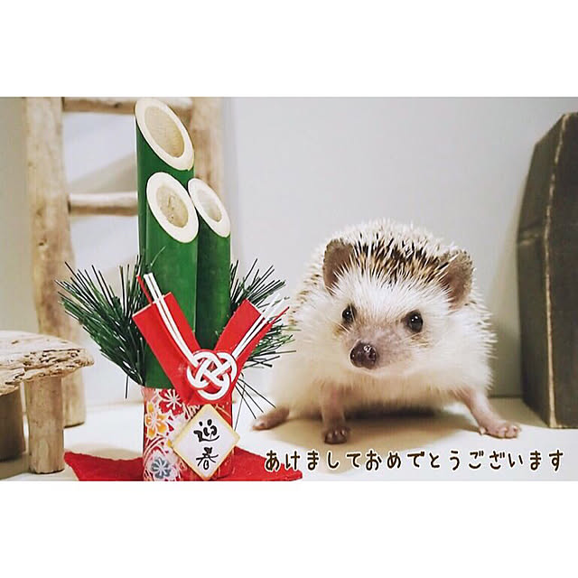 yu_kiさんの実例写真