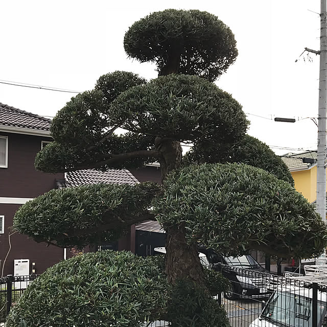 Mami.Kさんの実例写真