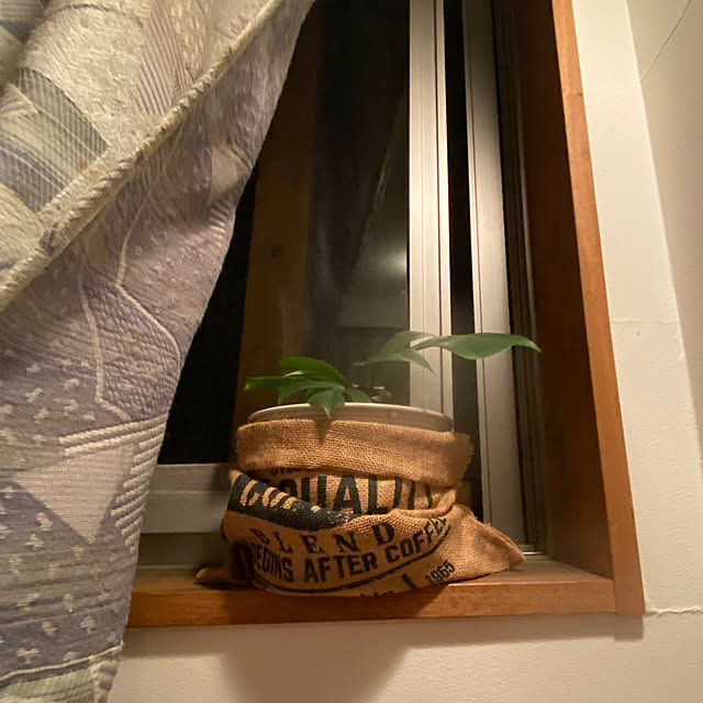 reahさんの部屋