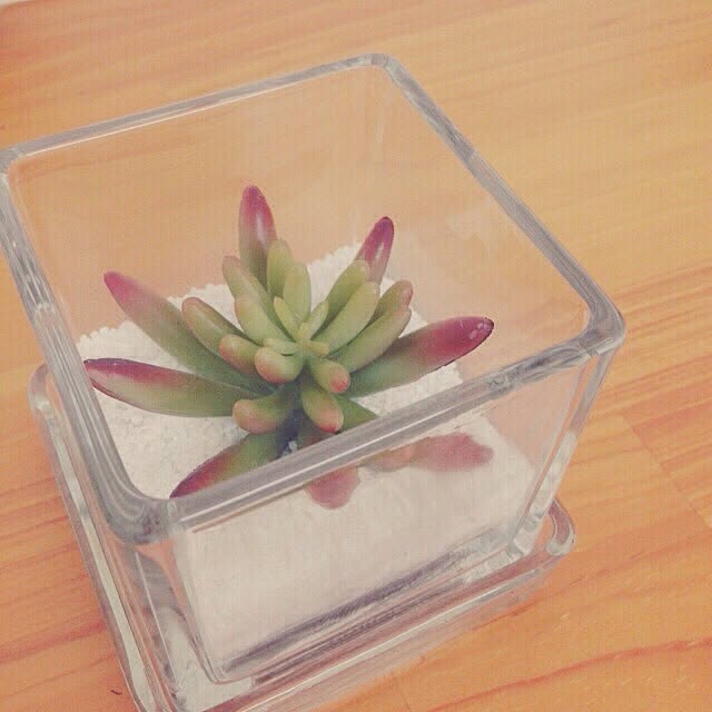 Rさんの実例写真