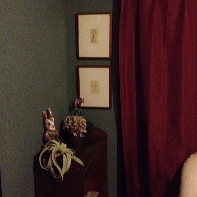 Kikoさんの実例写真