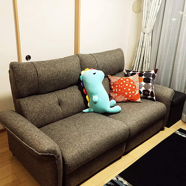 Sanaさんの実例写真