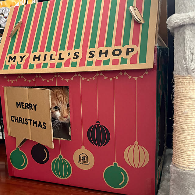 shi622さんの部屋