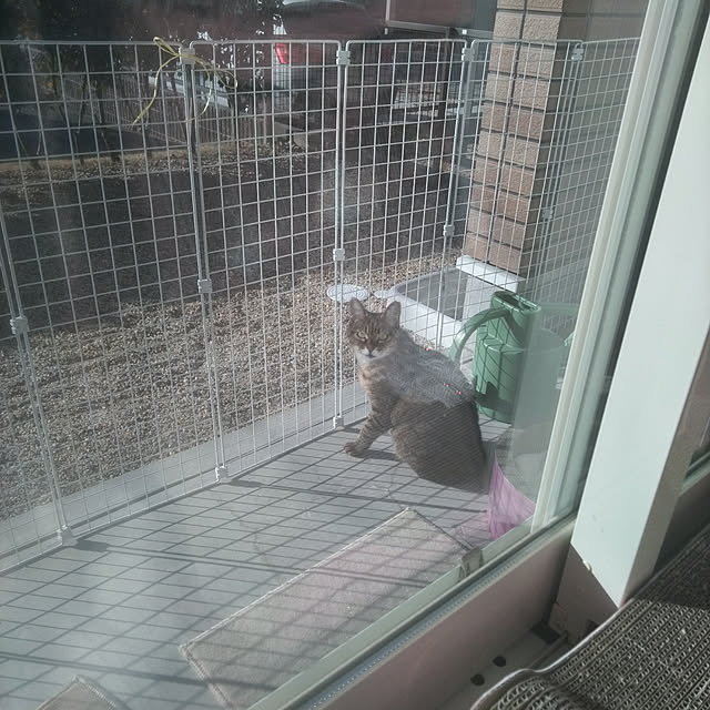 lilyさんの実例写真