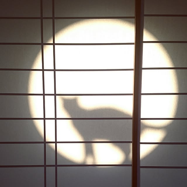 yumimiさんの実例写真