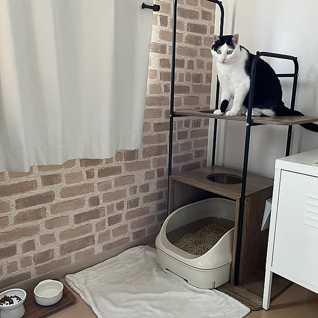 バス/トイレ/一人暮らし/猫のトイレ/ねこと暮らす。/コメントお構いなく(〃_ _)♡...などのインテリア実例 - 2023-08-29 10:29:43