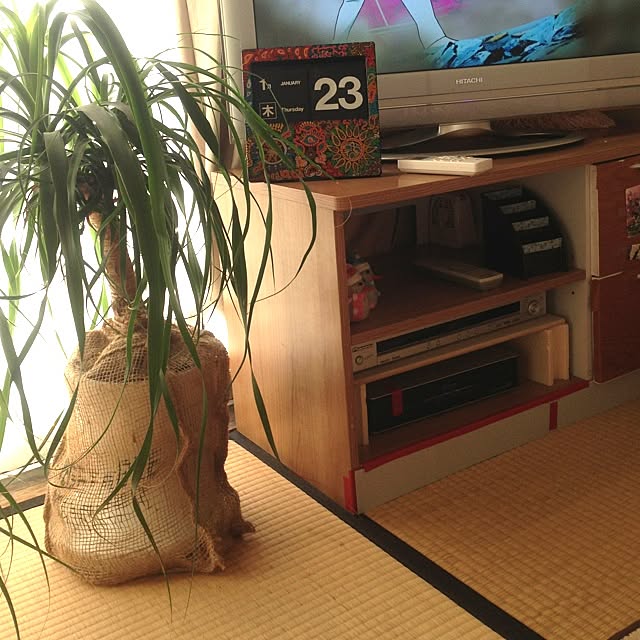 Akikoさんの実例写真