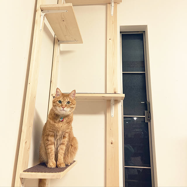 kazzさんの実例写真